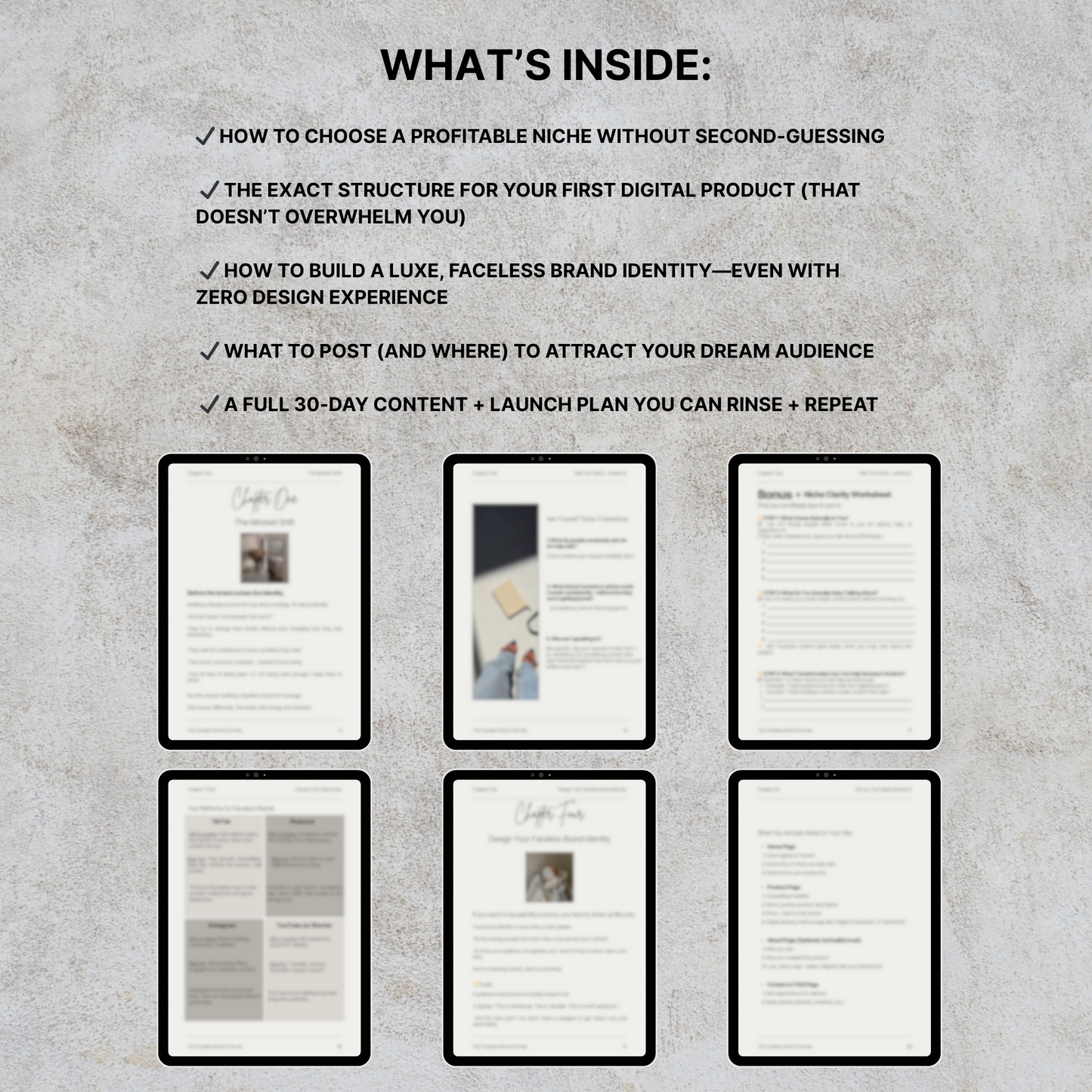 The Faceless Brand Formula E-Book